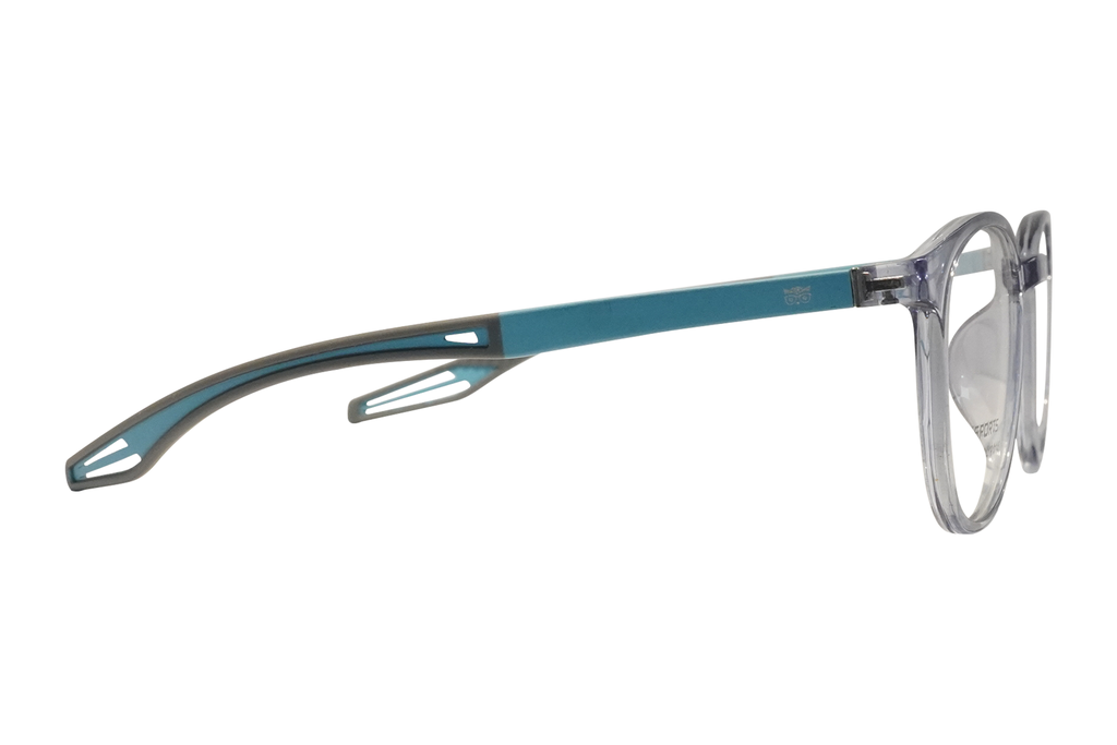 SPECSRAY EYEGLASSES ROUND  FULL RIM TR SHEET